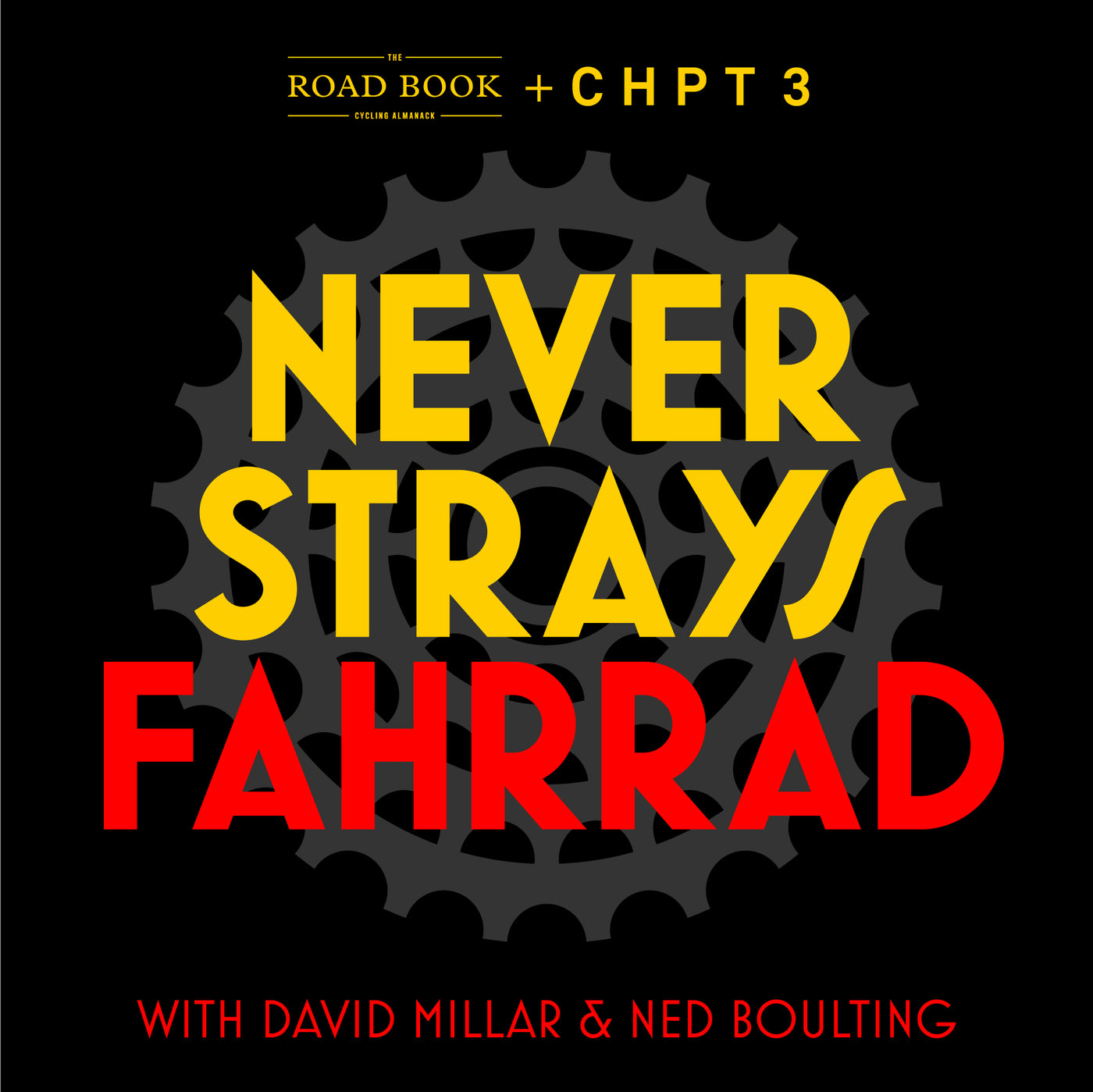 NEVER STRAYS Fahrrad - The Third One