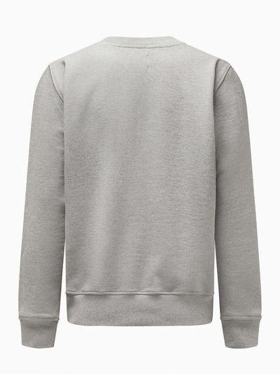CHPT3 Elysée mens cotton sweatshirt in grey, viewed from the back #color_grey-marl